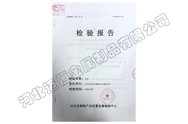 檢驗(yàn)報告 (2)